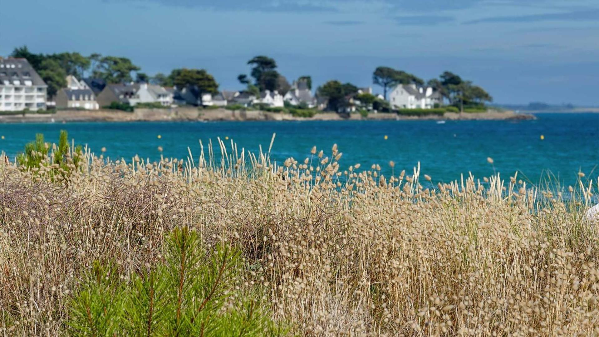 Camping Le Dolmen, Carnac, Morbihan 外观 照片